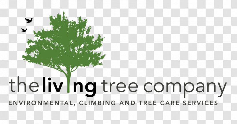 Arbor Pro Tree Management Co LLC Afacere Landscape Company - Branch - Handsaw Transparent PNG