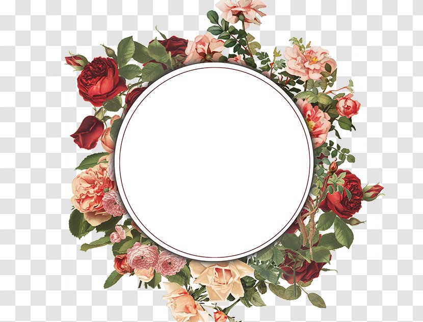 Background Flower Frame - Floral Design - Interior Picture Transparent PNG