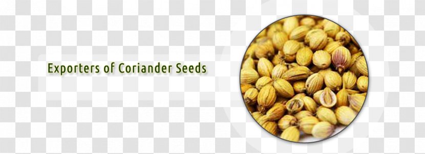 Chutney Coriander Pesto Pickled Cucumber Pistachio - Food - Seed Transparent PNG