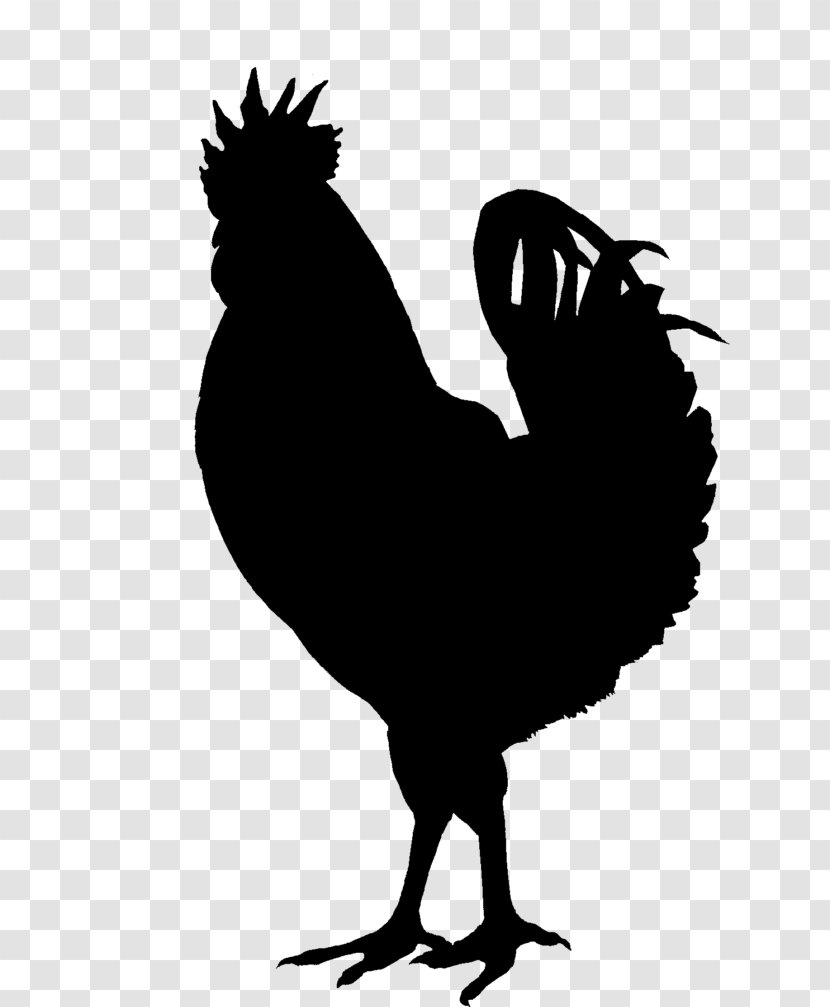 Silkie Chicken As Food Clip Art - Bird - Silhouette Transparent PNG