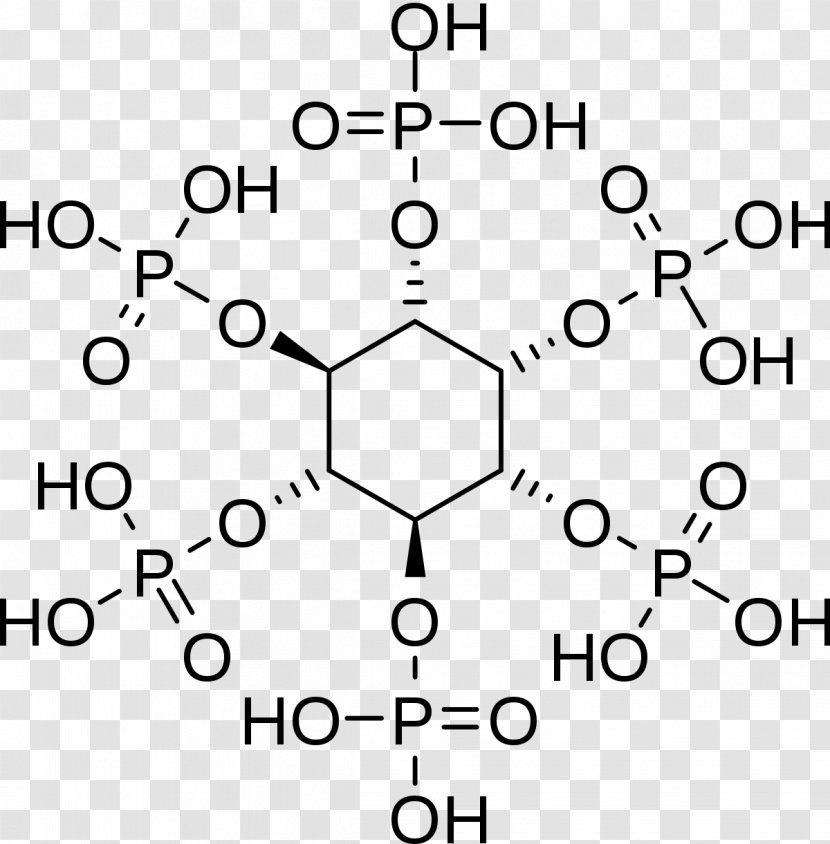 Phytic Acid Antinutrient Diet - Weston A Price Foundation - Sodium Sulfate Transparent PNG