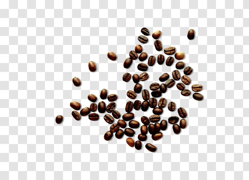 White Coffee Cafe Bean - Black Beans Transparent PNG