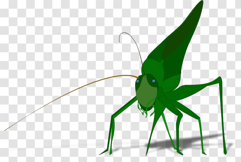 The Ant And Grasshopper Insect Clip Art - Arthropod Transparent PNG