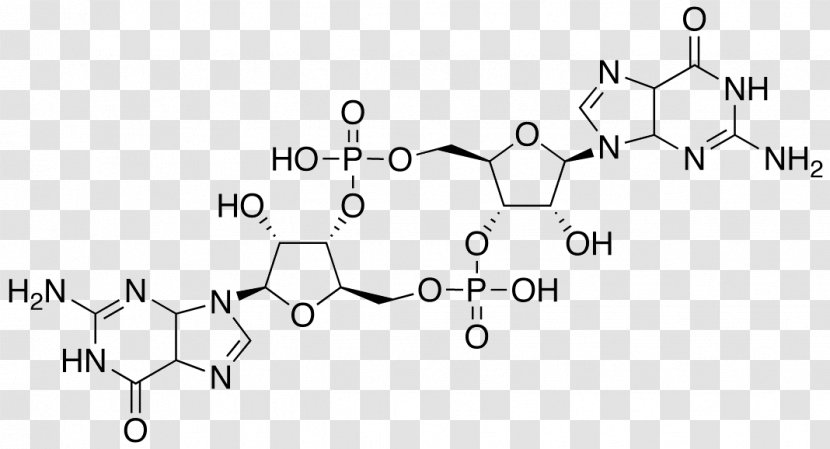 Cyclic Di-GMP Guanosine Monophosphate Diguanylate Cyclase Lamivudine - Area Transparent PNG