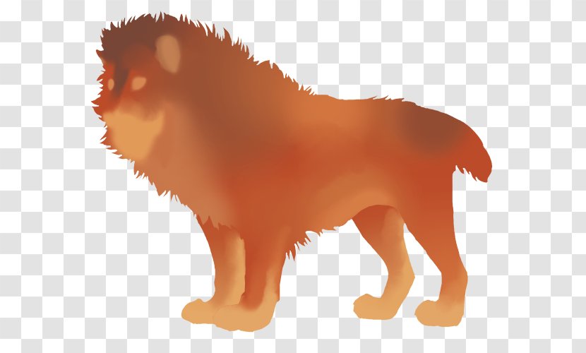 Puppy Lion Pomeranian Dog Breed Whiskers - Cat Transparent PNG