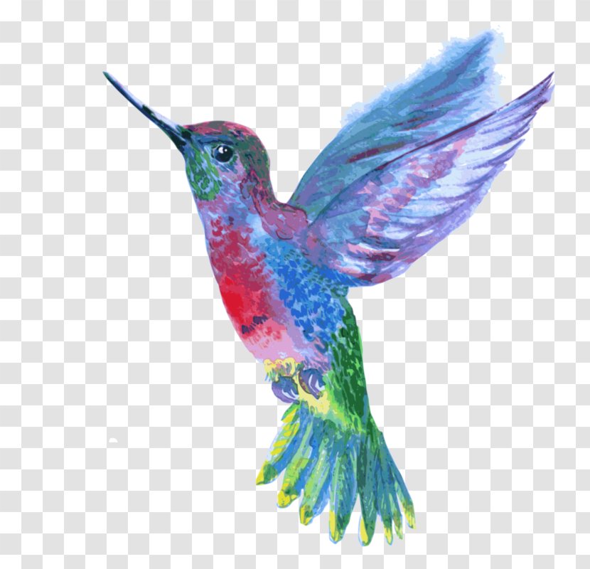Hummingbird - Rufous - Wing Transparent PNG