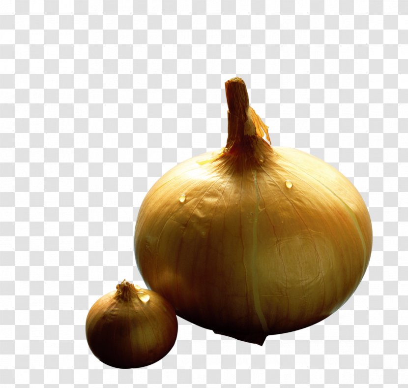 Yellow Onion Shallot Vegetable - Rgb Color Model - Vegetables Transparent PNG