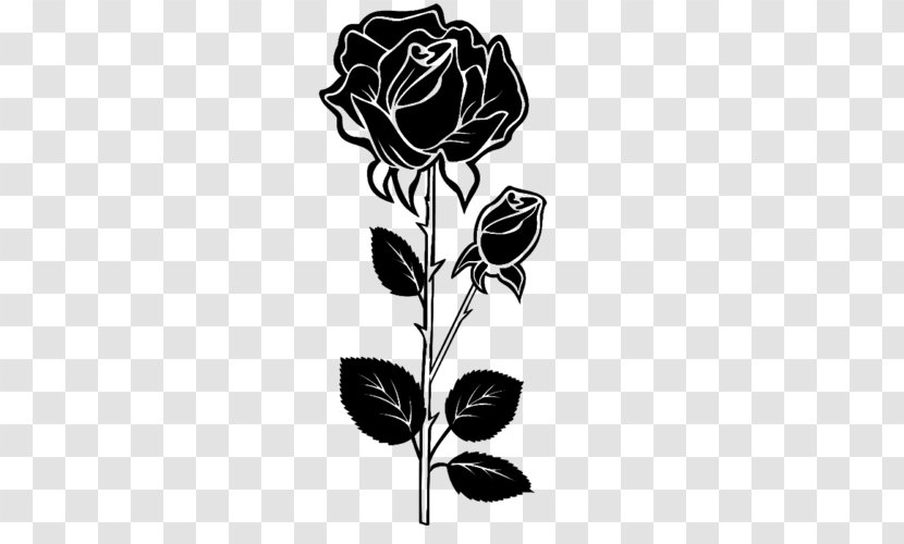 Black Rose Drawing - Blue Cut Flowers Transparent PNG