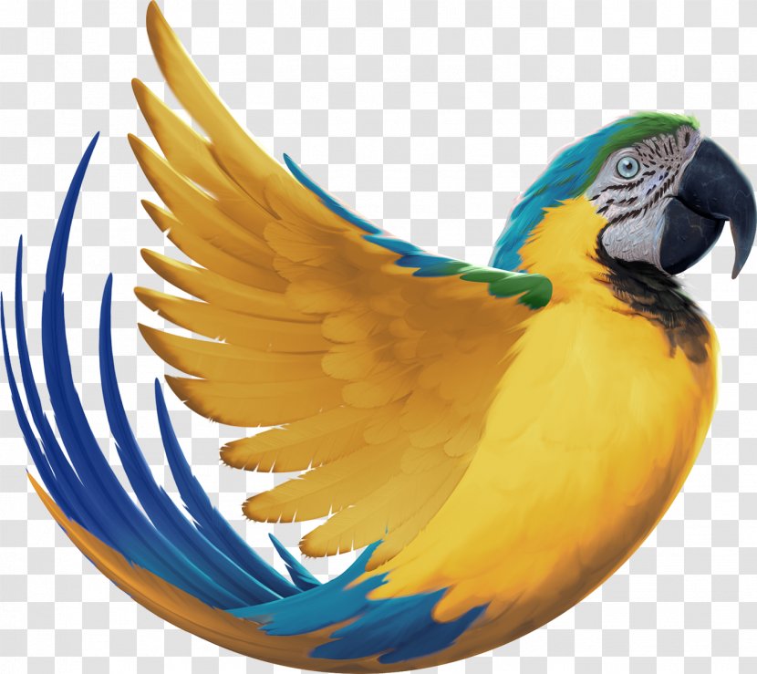 Budgerigar Bird Macaw Behance Feather - Beak Transparent PNG