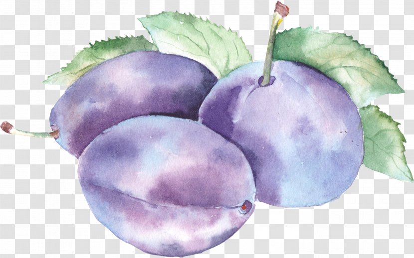 Watercolor Painting Drawing - Natural Foods - Blueberries Transparent PNG