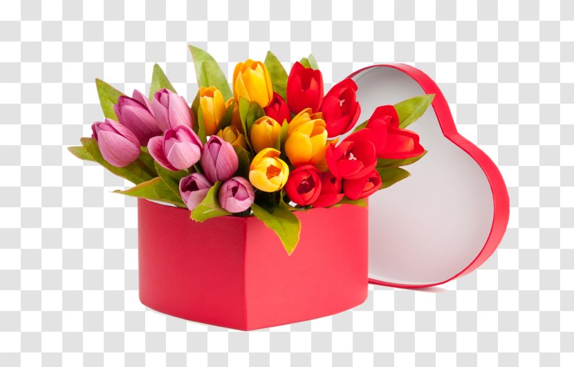 Flower Flowerpot Tulip Cut Flowers Plant - Flowering Bouquet Transparent PNG