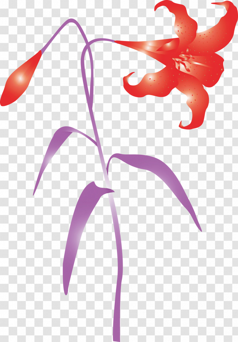 Easter Flower Spring Flower Transparent PNG