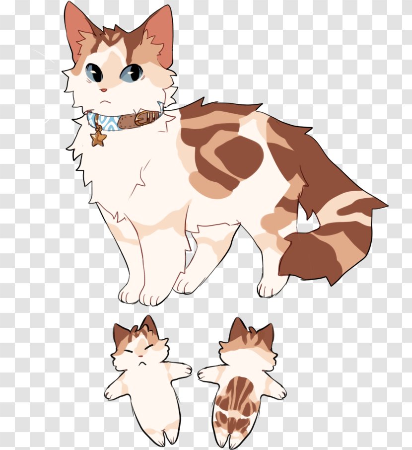 Whiskers Kitten Red Fox Dog Breed Cat - Paw Transparent PNG