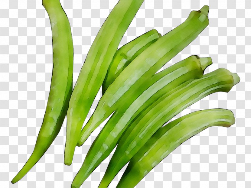 Green Bean Plant Stem Okra Commodity Scallion - Food Transparent PNG