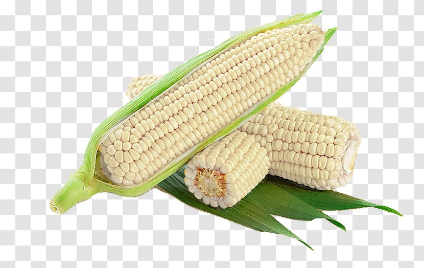 Corn On The Cob Maize Waxy Corncob - White Transparent PNG