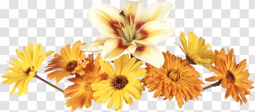 Decoupage Oil Painting Blog Clip Art - Flowers Yellow Transparent PNG