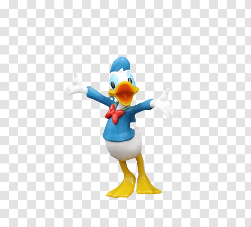 Donald Duck Illustration - Water Bird - Singing Transparent PNG