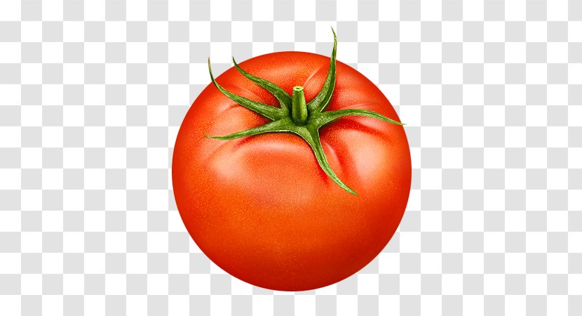 Plum Tomato Vegetable Bush - Food - Tomatoes Transparent PNG