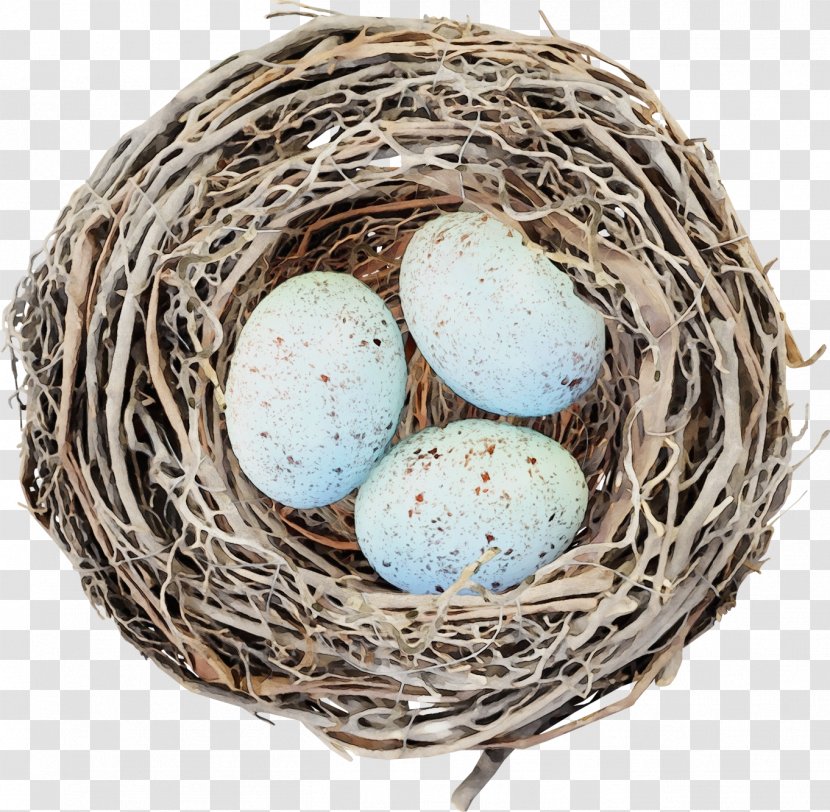 Egg - Gift Basket - Bird Transparent PNG