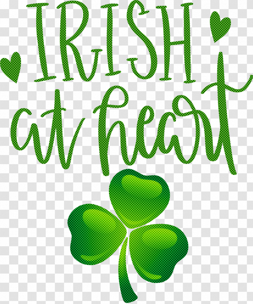 Shamrock Irish Saint Patrick Transparent PNG