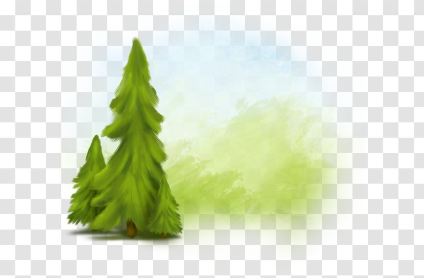 Tree Green Download - Resource - Spruce Transparent PNG
