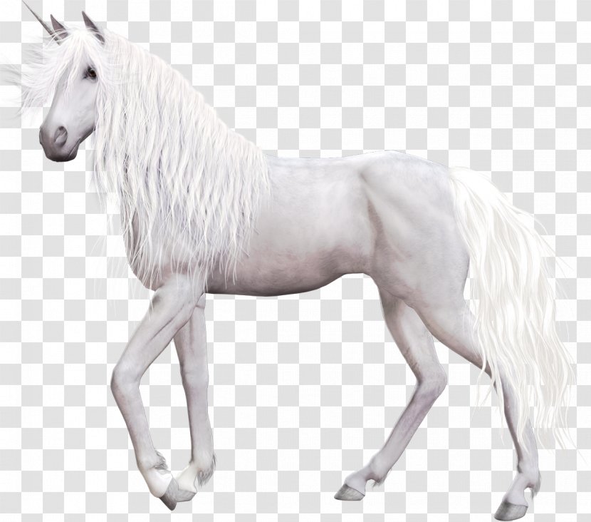 Akhal-Teke Unicorn Pegasus - Mane Transparent PNG
