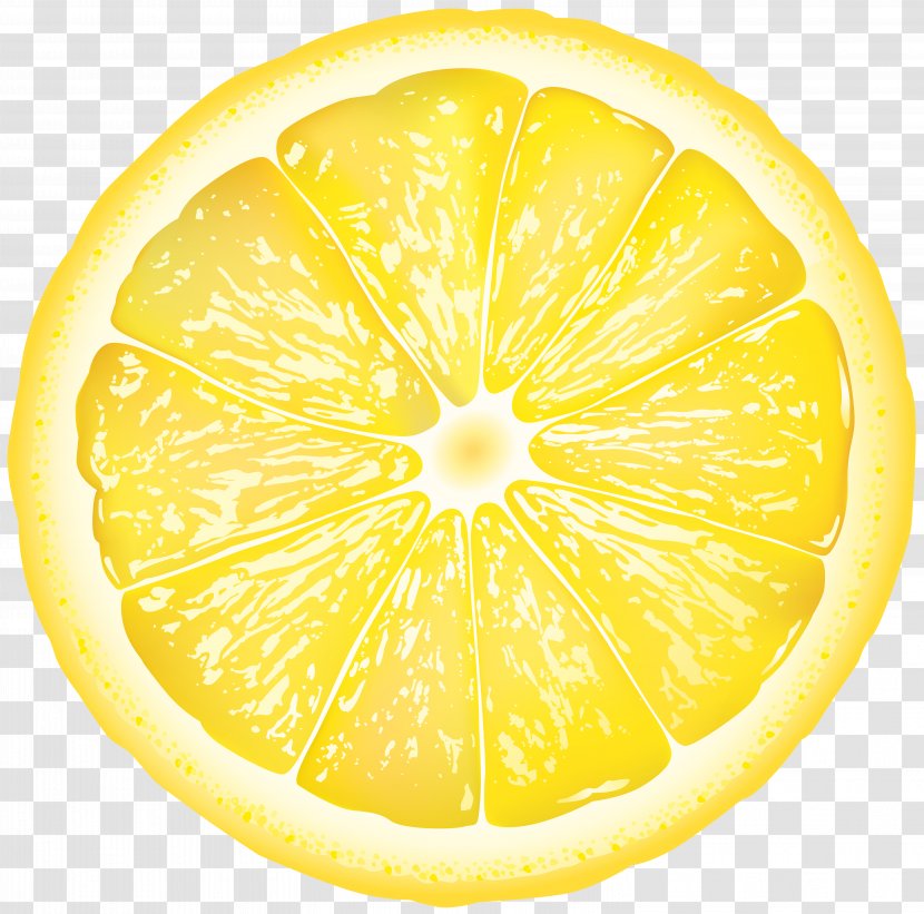 Sweet Lemon Citron Grapefruit Citrus Junos - Citric Acid - Round Slice Clip Art Image Transparent PNG