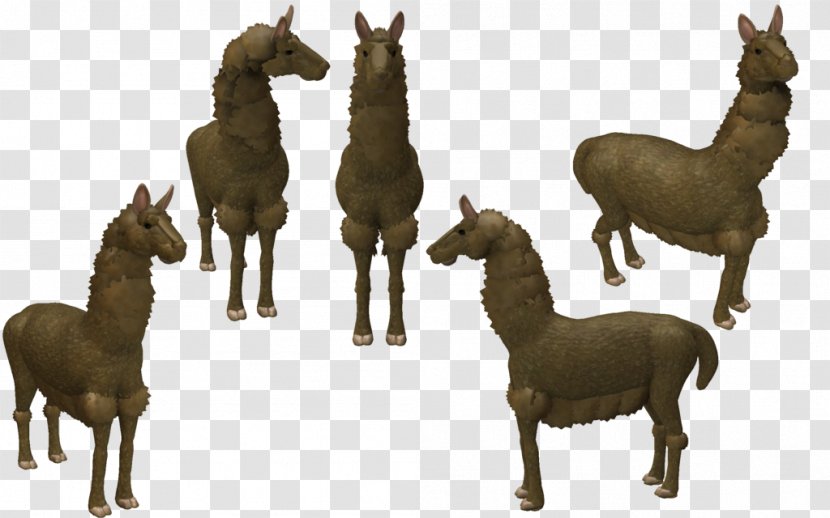 Spore Creatures Mustang Llama Creature Creator - Foal Transparent PNG