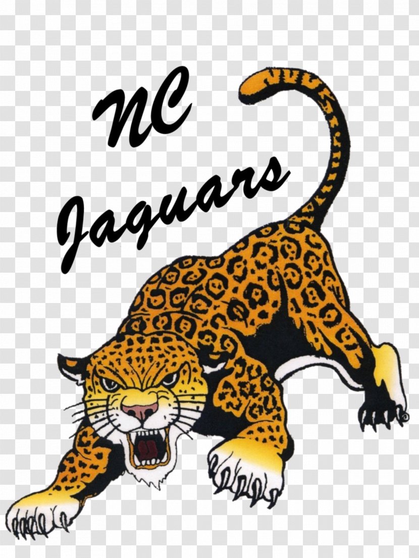 Tiger Jacksonville Jaguars Northern Cass Middle School Clip Art - Sport Transparent PNG