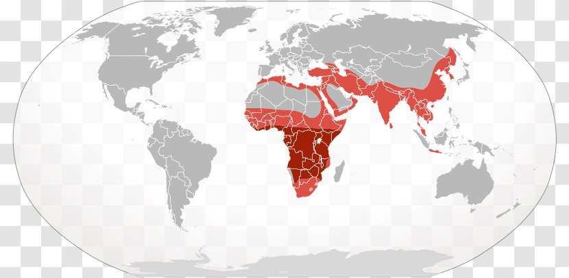 World Map Globe Atlas - Cartography - African Leopard Transparent PNG