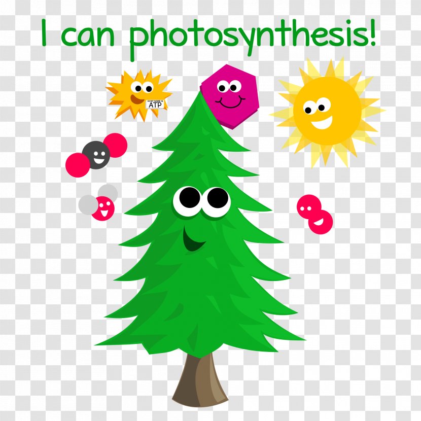 Autotroph Photosynthesis Energy Biology Light - Flowering Plant - Creative Transparent PNG