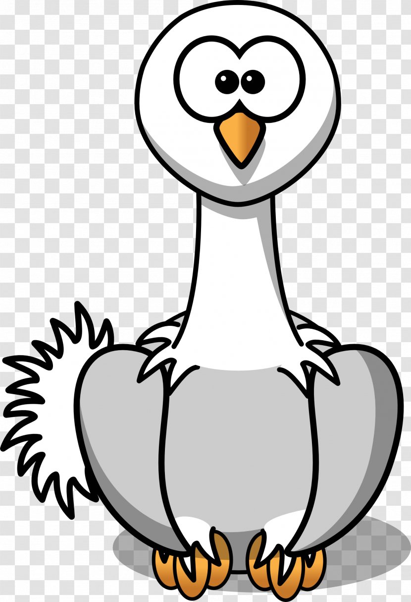 Common Ostrich Bird Cartoon Clip Art - Cliparts Transparent PNG