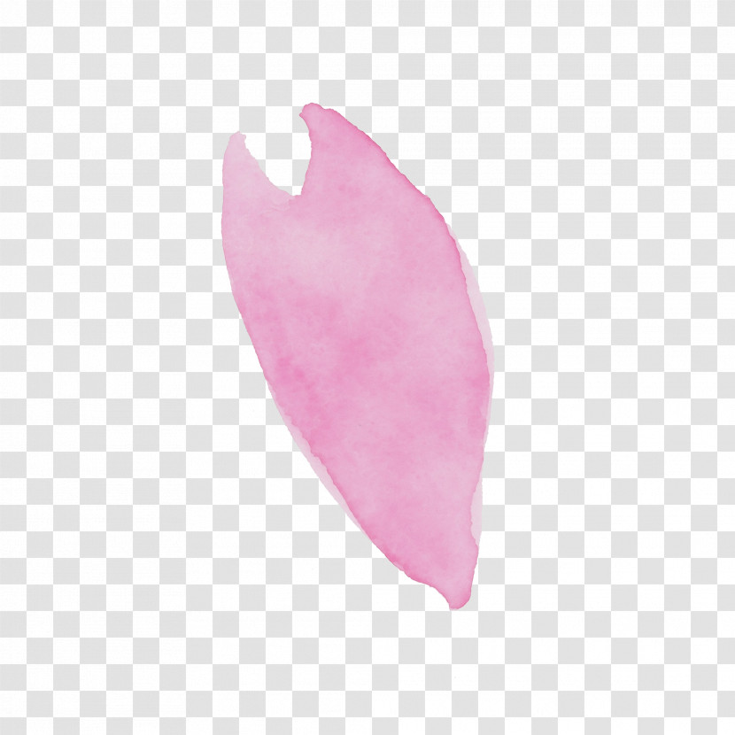 Feather Transparent PNG