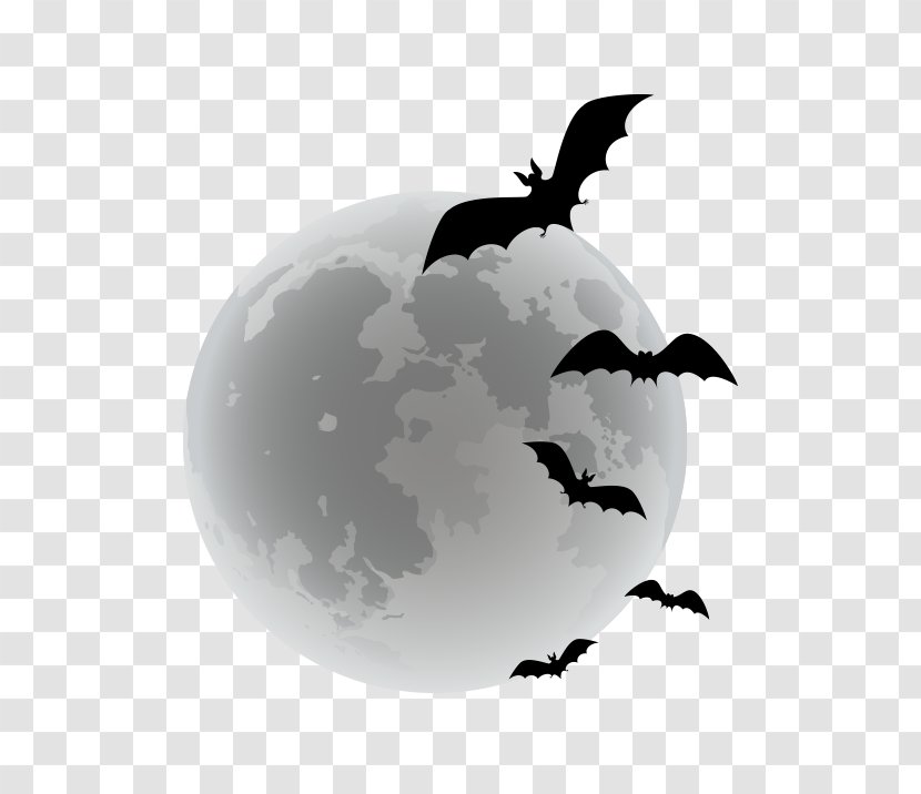 Bat Halloween - Bird - Vector Cartoon Bats Transparent PNG
