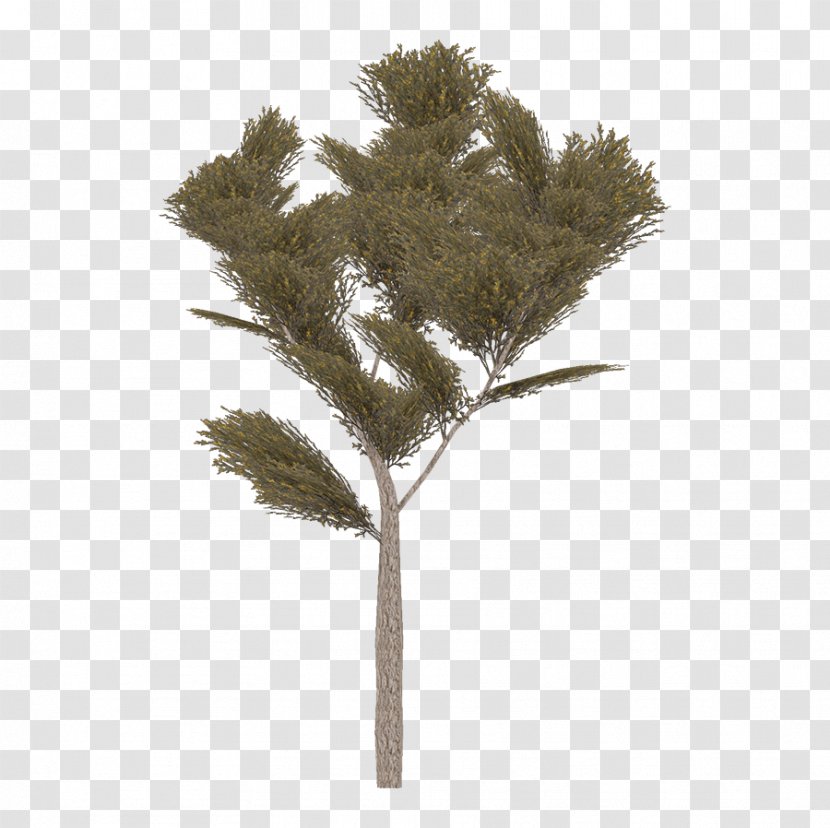 Twig Plant Stem Transparent PNG