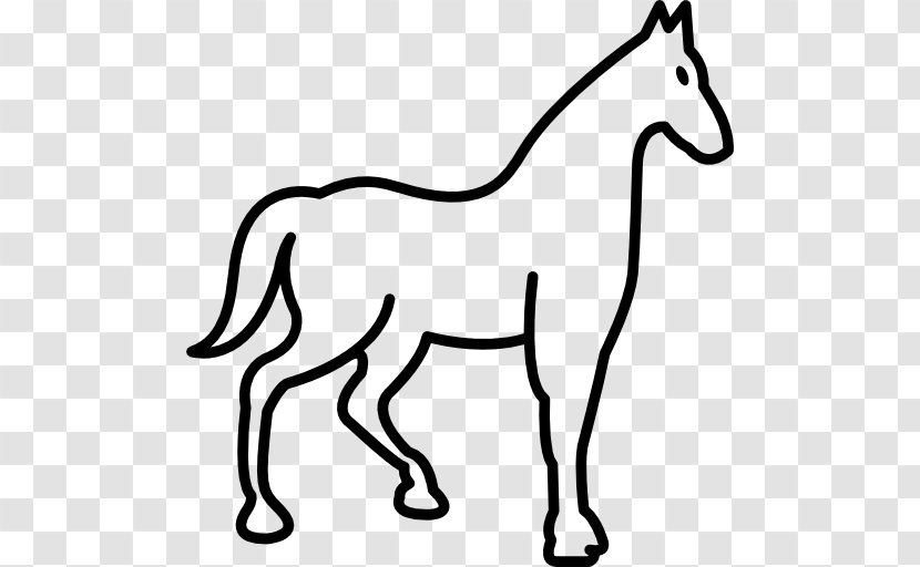 Thoroughbred Horse Racing Equestrian Mare - Foal - Race Transparent PNG