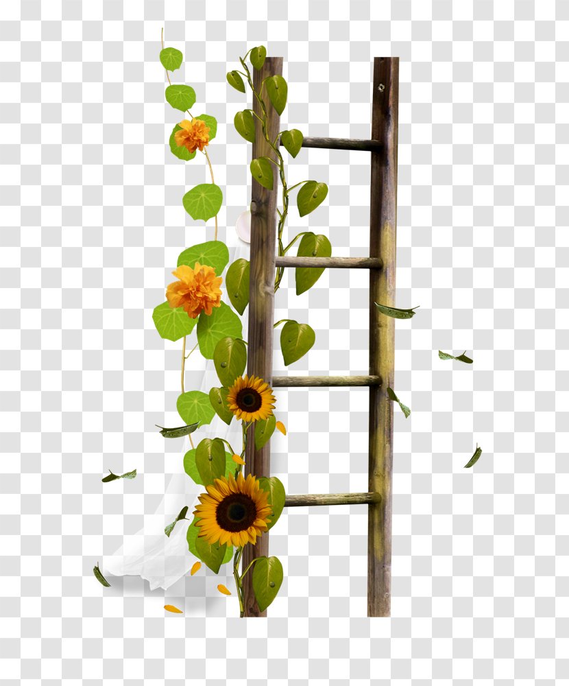 Ladder Stairs Sticker Clip Art - Plant Stem - Drawing Flower Border Image Transparent PNG