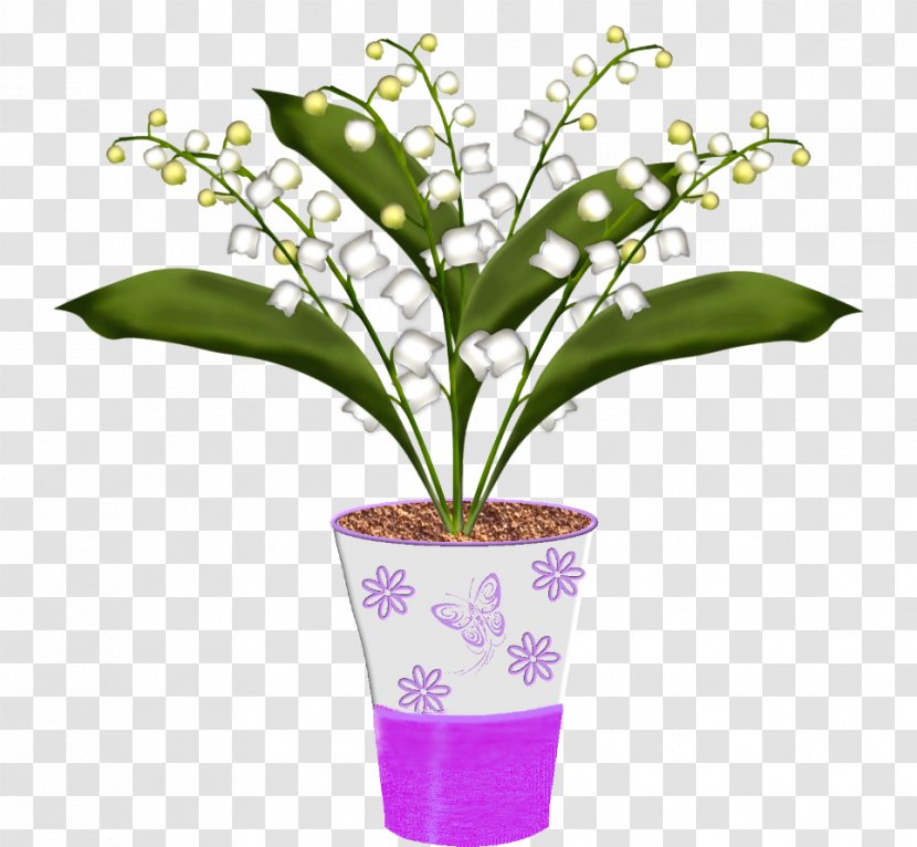Cut Flowers Blume - Plant - Flower Transparent PNG