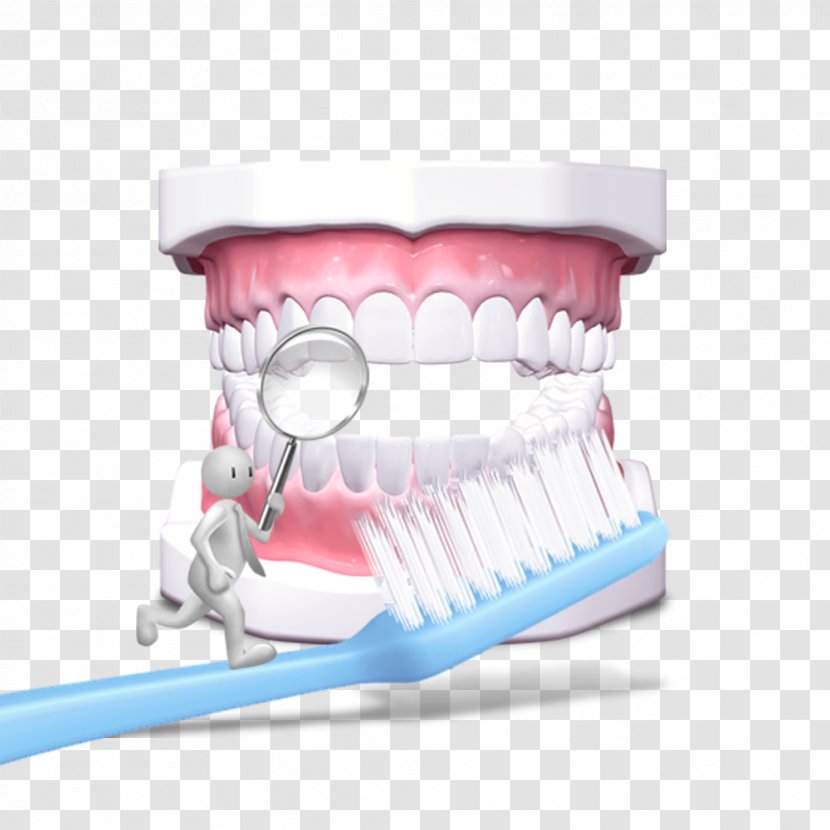 Dentistry Tooth Gums - Watercolor - Free Dental Toothbrush Pull Material Transparent PNG