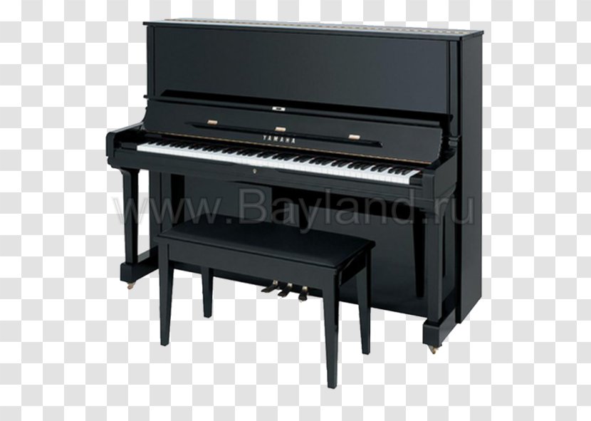 Yamaha Corporation Upright Piano Digital Keyboard - Cartoon Transparent PNG