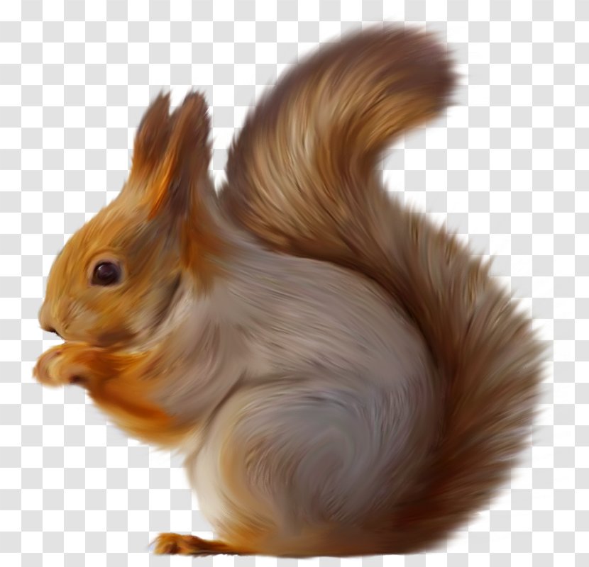 Squirrel Clip Art - Digital Scrapbooking Transparent PNG