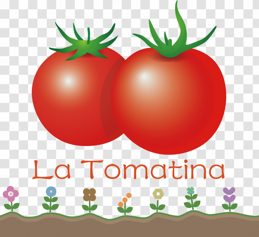 La Tomatina Tomato Throwing Festival Transparent PNG