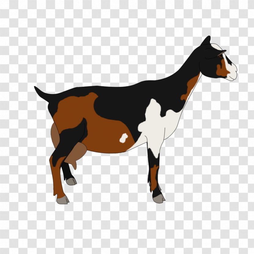 Nigerian Dwarf Goat Pygmy Cattle Drawing Caprinae - Livestock Transparent PNG