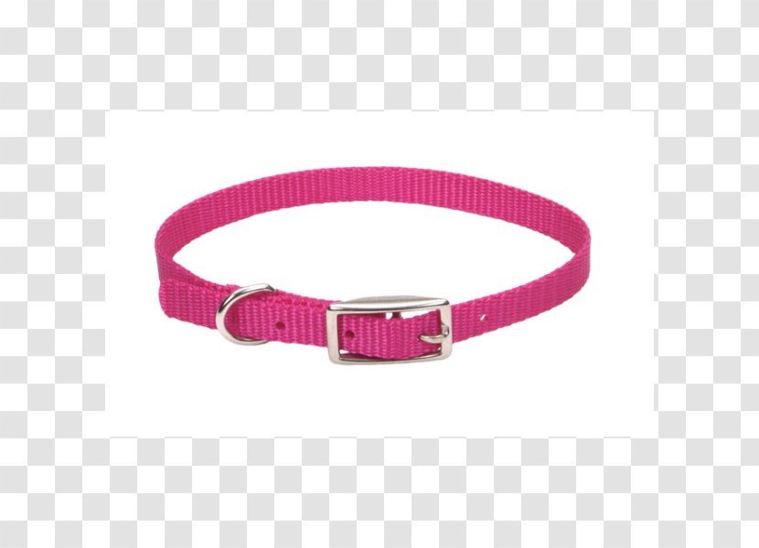 Belt Buckles Bachelor Party Wristband Key Chains - Bachelorette - Coastal Pet Products Inc Transparent PNG