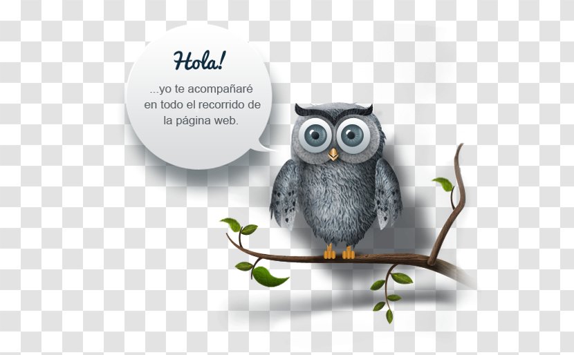 Owl Product Design Brand Fauna Transparent PNG