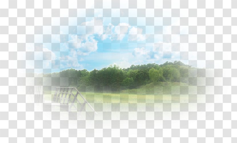 Bridge Desktop Wallpaper Landscape Computer - Grass Transparent PNG