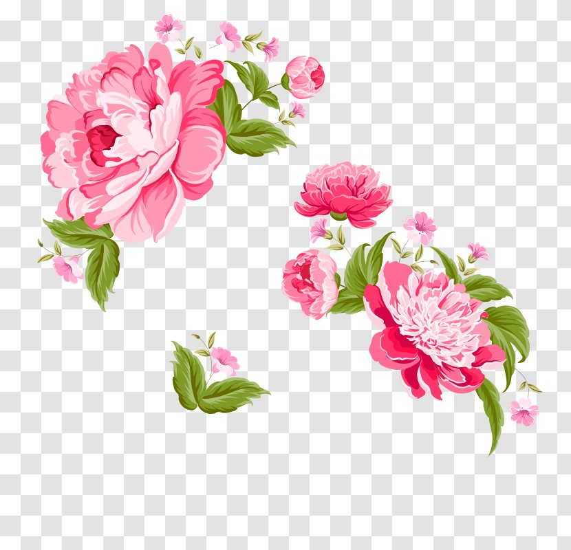 Painting Flower Peony Illustration - Flowering Plant - Flowers Transparent PNG