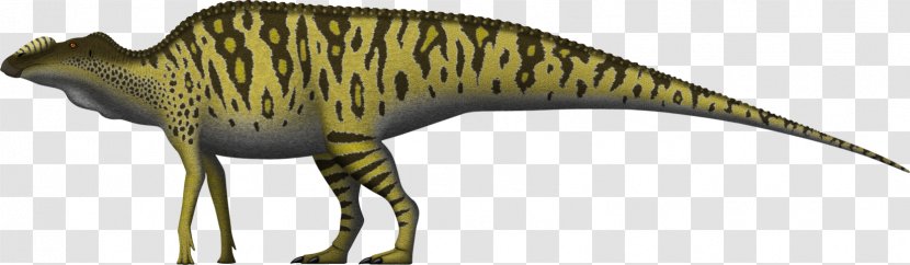 Tyrannosaurus Allosaurus Hadrosaurus Edmontosaurus Annectens Mosasaurus - Wildlife - Dinosaur Transparent PNG