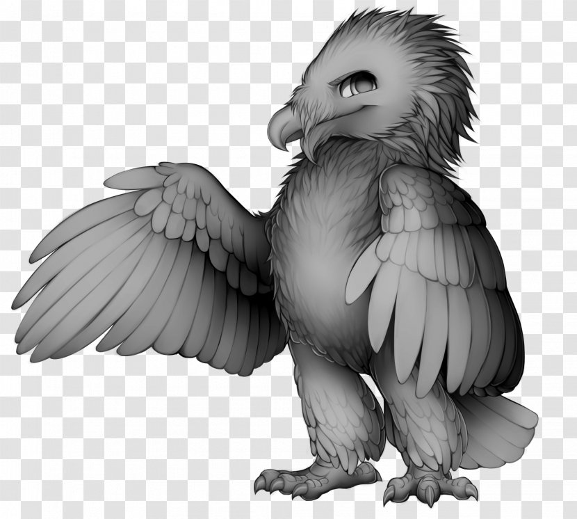 Bird Of Prey Beak Bald Eagle Owl - Feather Transparent PNG