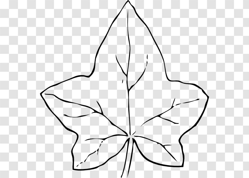 Autumn Leaf Color Coloring Book - Point - Big Leaves Cliparts Transparent PNG